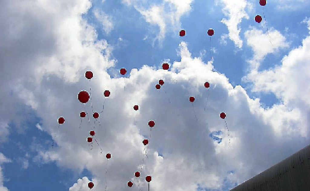Balloon releases might look pretty but Lyndie Malan says they can be lethal to wildlife. Balloon releases might look pretty but Lyndie Malan says they can be lethal to wildlife.